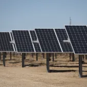 Rows of solar panels installed on a dry, sandy ground under a clear blue sky.