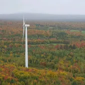 Aerial view of a wind turbine standing in a vast forest with autumn foliage in shades of green, yellow, and red. A distant mountain range is visible under a cloudy sky.