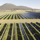 A large field of solar panels arranged in rows on a sunny day. In the background, there are rolling hills and a clear blue sky.
