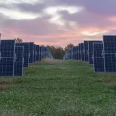 Rows of solar panels in a field under a colorful sunset sky. The panels are aligned in parallel, stretching into the distance with grass growing between them.