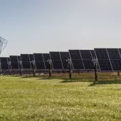 A field of solar panels aligned in rows on a grassy landscape under a clear sky. A few bare trees are visible in the background.