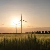 A field of tall grass with several wind turbines silhouetted against a sunset sky. The sky is partly cloudy, and the sun is near the horizon, casting a warm glow over the landscape.