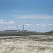 A landscape featuring several wind turbines on a grassy plain under a blue sky with scattered clouds. Rolling hills are visible in the background.
