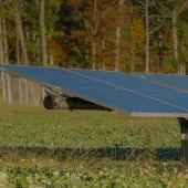 A solar panel installed in a grassy field with a forest in the background. The panel is tilted towards the sun, capturing solar energy.