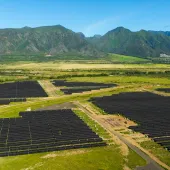 Aerial view of a large solar farm with numerous solar panels arranged in rows on a grassy landscape. In the background, green mountains rise under a clear blue sky.