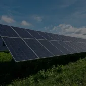 Rows of solar panels in a green field under a clear blue sky.