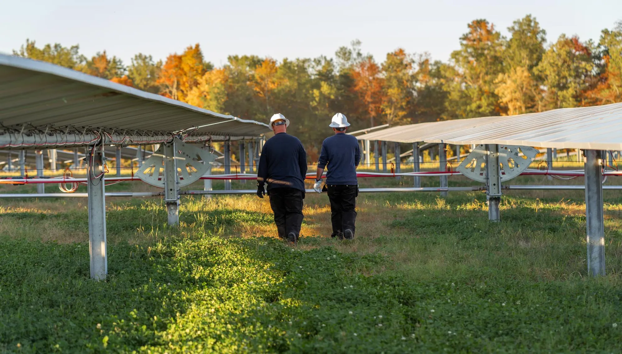 Two workers wearing hard hats walk between rows of solar panels in a field with green grass. The background features trees with autumn foliage in shades of orange and yellow under a clear sky.
