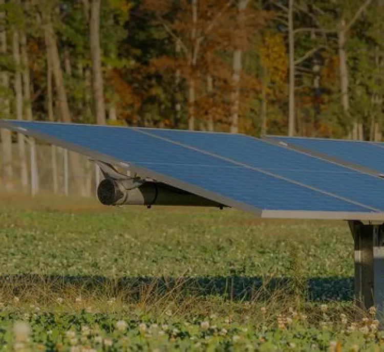 A solar panel installed in a grassy field with a forest in the background. The panel is tilted towards the sun, capturing solar energy.