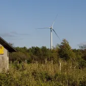 A rustic wooden building with a yellow sign reading 'Bova's Groceries' stands in a grassy field. In the background, a wind turbine rises above a line of trees against a clear blue sky.