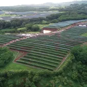 Aerial view of a large solar farm with rows of solar panels surrounded by lush green trees and vegetation. The panels are arranged in neat, parallel lines across the landscape. A small pond is visible near the center of the image.