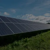 Large array of solar panels in a green field under a blue sky with clouds.