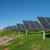 Rows of solar panels installed on a grassy field under a clear blue sky.