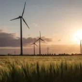 Wind turbines in a field at sunset, with a golden sky and clouds in the background.