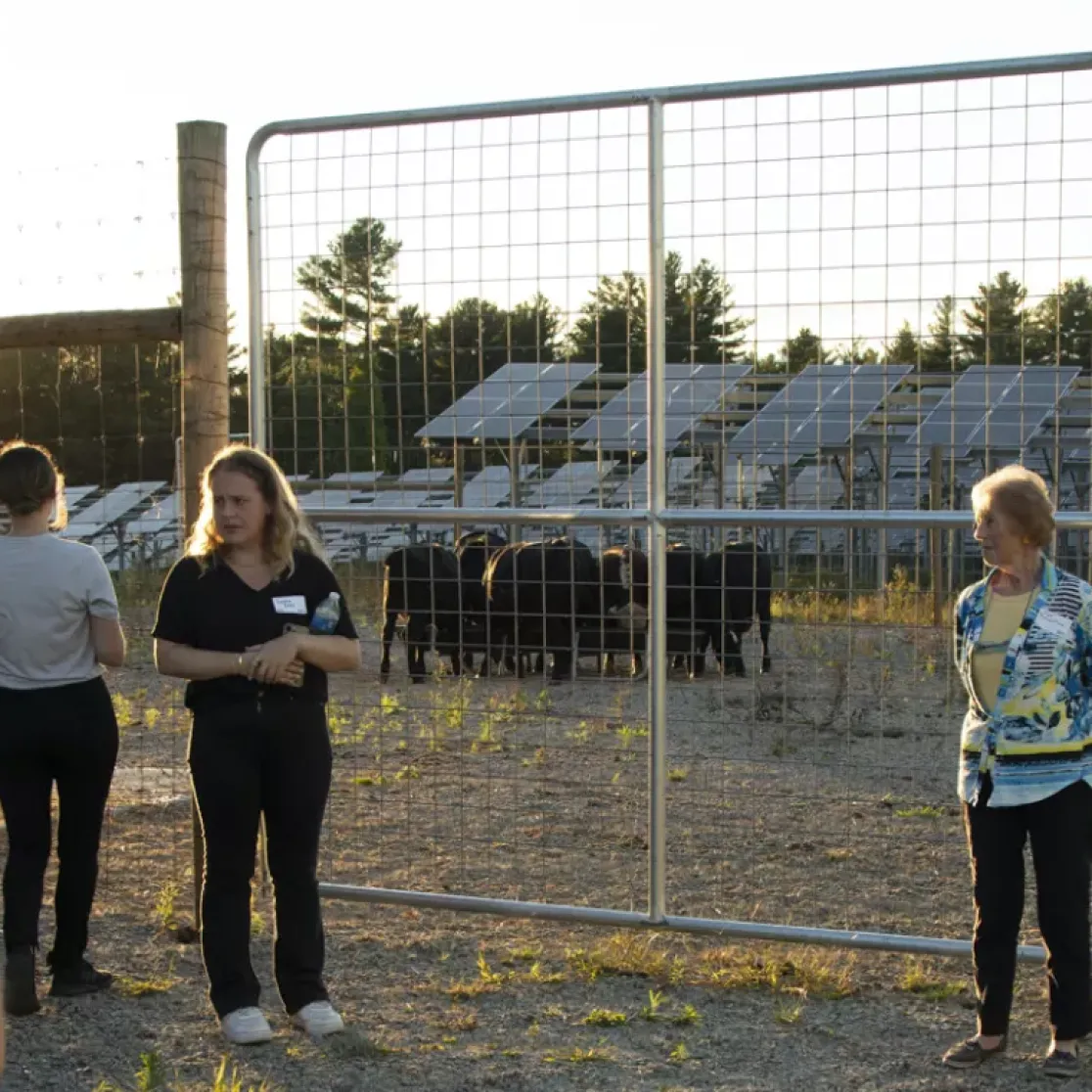 A group of people stands near a fenced area with solar panels in the background. The sun is setting, casting a warm glow. Some individuals are engaged in conversation while others observe the surroundings.