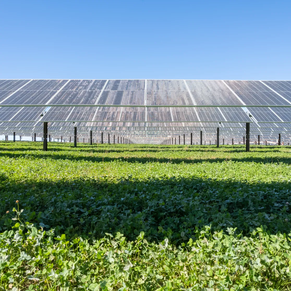 Our Clean Energy Commitment Photo.jpg