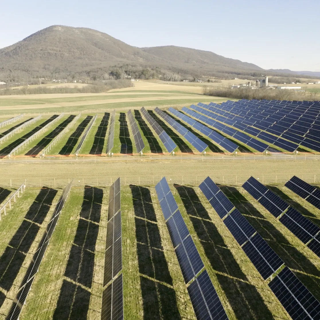 A large solar farm with rows of solar panels stretching across a grassy field. In the background, there are mountains under a clear blue sky.