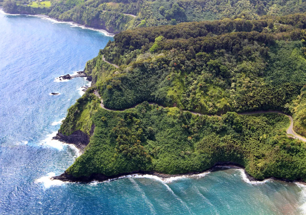 Aerial view of a lush green coastline with a winding road along the edge, bordered by the blue ocean waves.