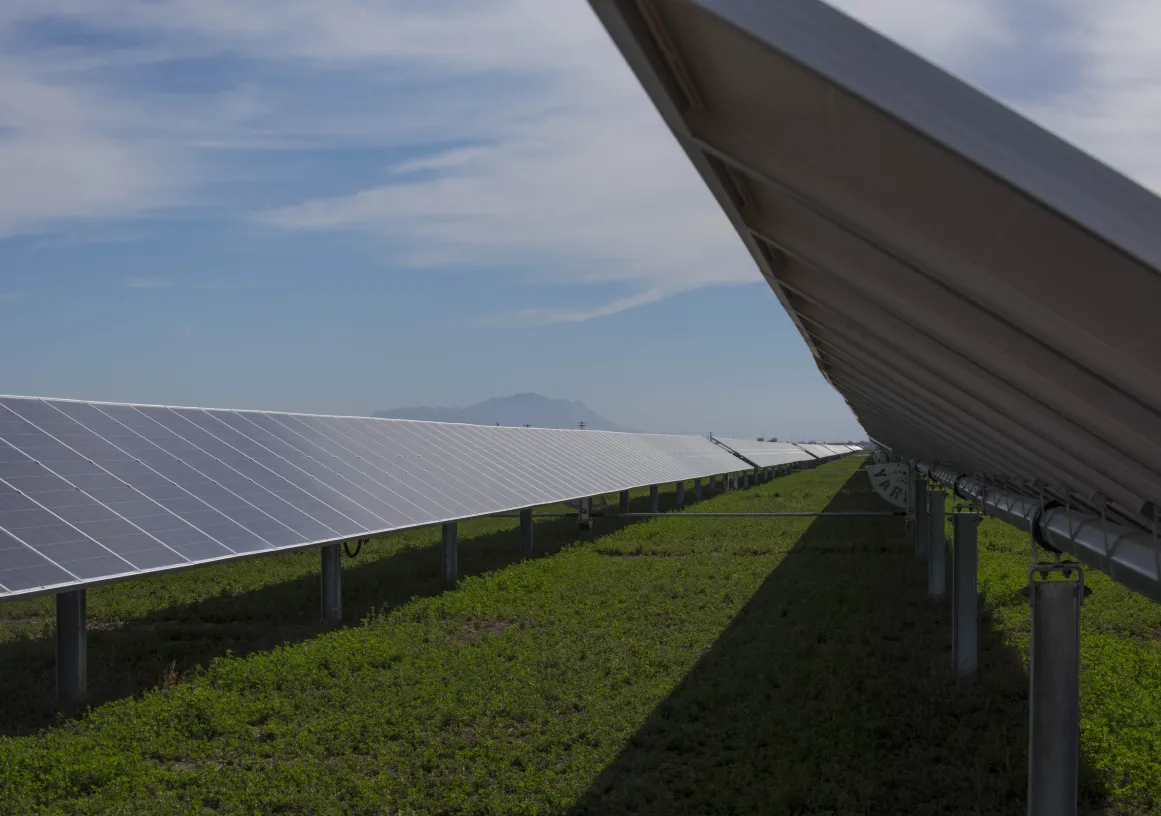 Rows of solar panels on metal stands in a field of green grass under a blue sky with scattered clouds. A mountain range is visible in the distant background.