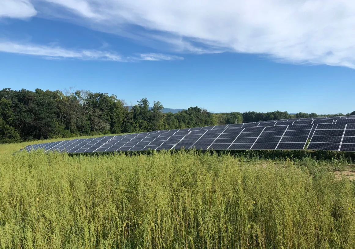 Rows of solar panels in a grassy field with trees in the background under a blue sky with scattered clouds.