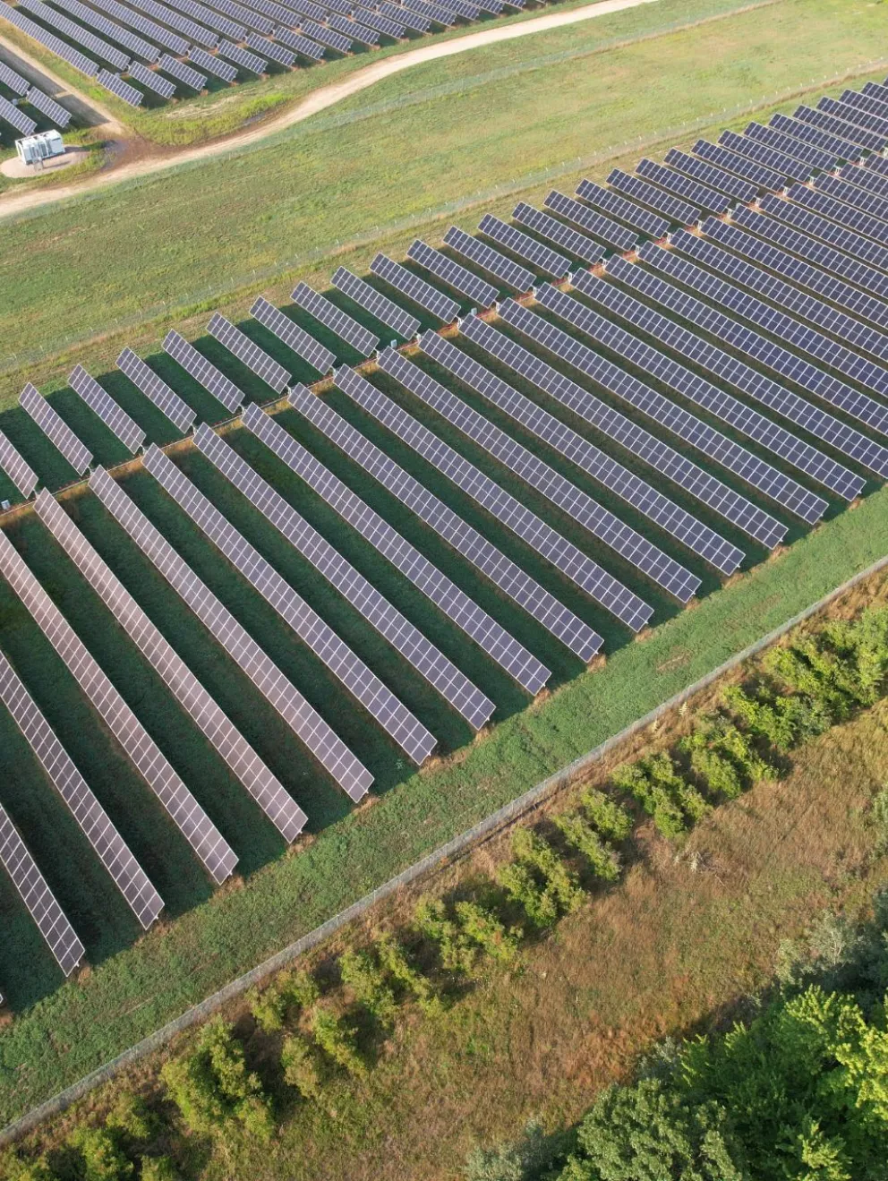 Aerial view of a large solar farm with rows of solar panels arranged in parallel lines on green grass. A dirt road runs through the farm, and trees border the area on the right side.