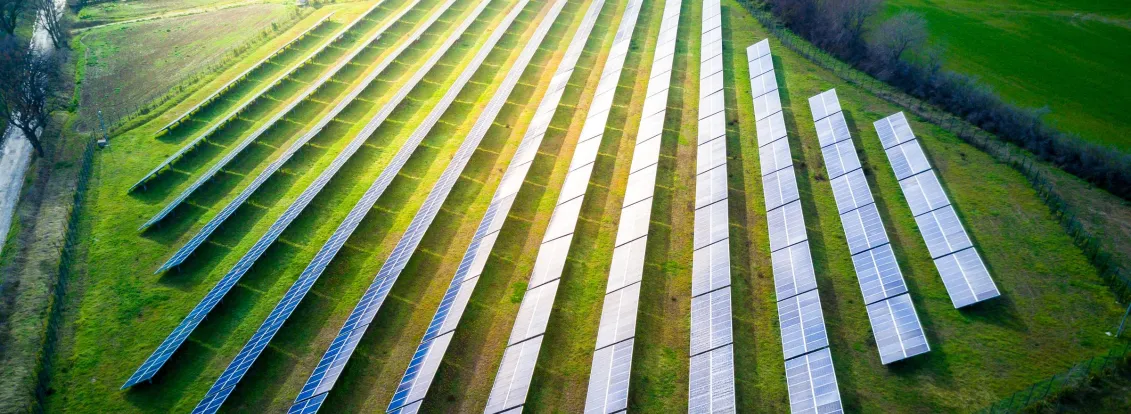 Aerial view of a solar farm with multiple rows of solar panels on a grassy field surrounded by trees and a road.