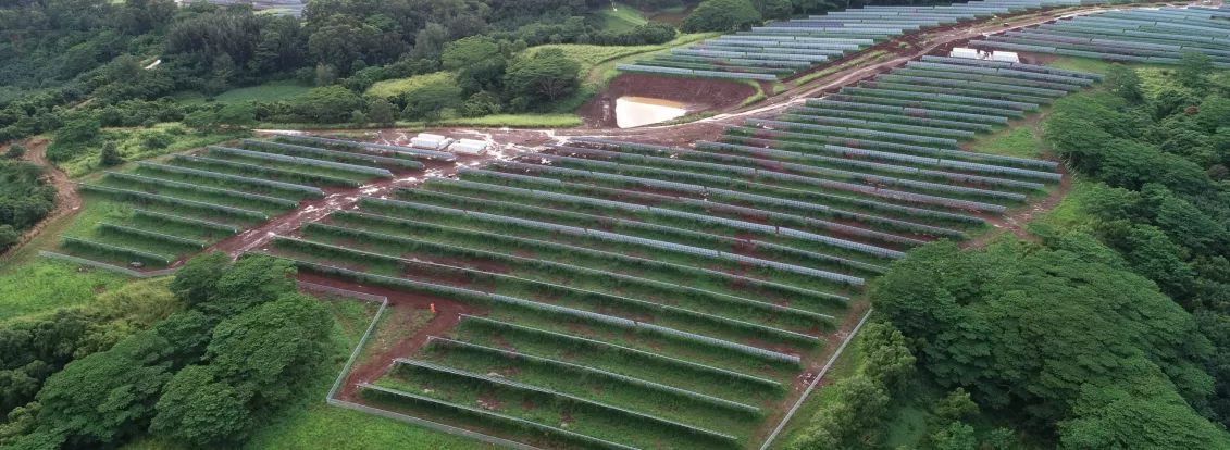 Aerial view of a large solar farm with rows of solar panels surrounded by lush green trees and vegetation. The panels are arranged in neat, parallel lines across the landscape. A small pond is visible near the center of the image.