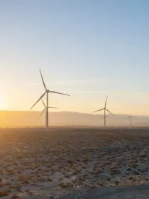 Wind turbines in a desert landscape at sunset with a clear sky.