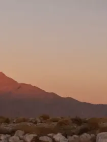 Wind turbines in a rocky desert landscape at sunset with a mountain in the background.