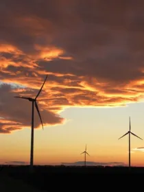 Silhouetted wind turbines under a dramatic sunset sky with orange and purple clouds.
