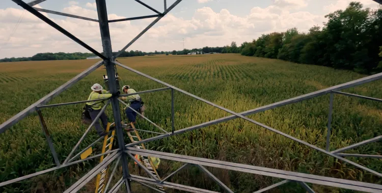Two workers in safety gear climb a metal tower in a vast field of corn under a partly cloudy sky.