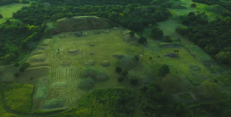 Aerial view of a lush green archaeological site with ancient mounds, geometric earthworks, and scattered trees surrounded by dense forest and open fields.