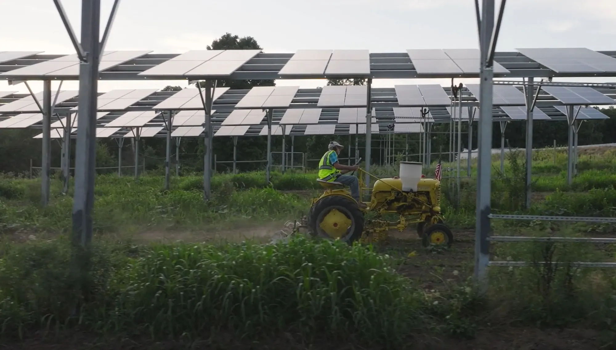 A person driving a small yellow tractor beneath large solar panel arrays in a grassy field. The panels are elevated on metal structures, and the person is wearing a safety vest and hat.