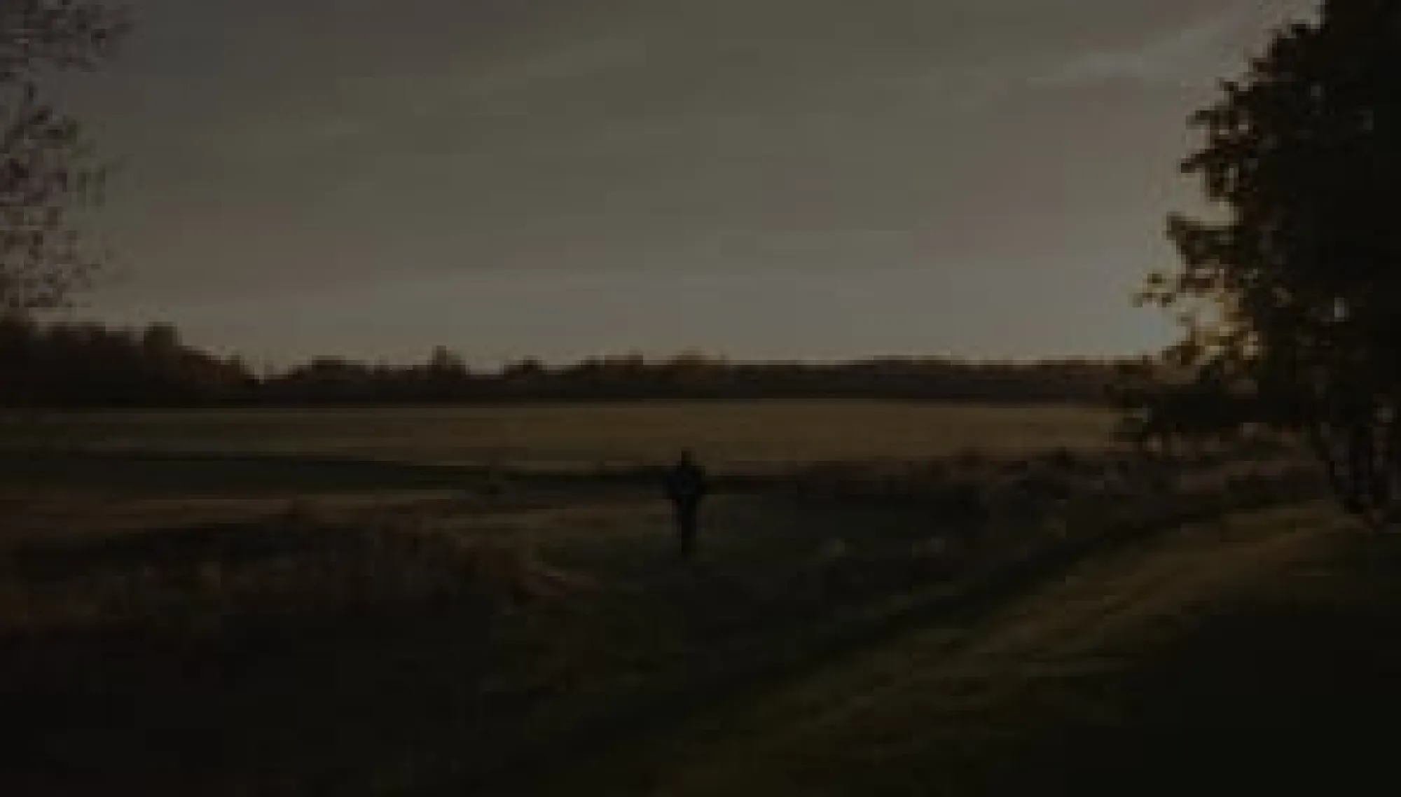 Vimeo thumbnail