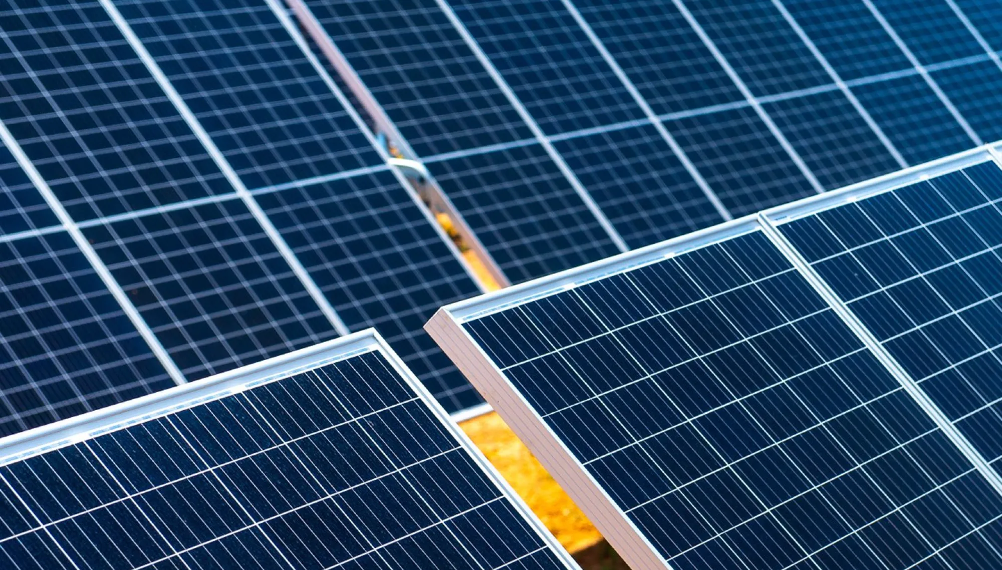 Close-up view of multiple rows of solar panels arranged in a grid pattern, reflecting sunlight. The panels are set on a grassy field, with some green patches visible between the rows.