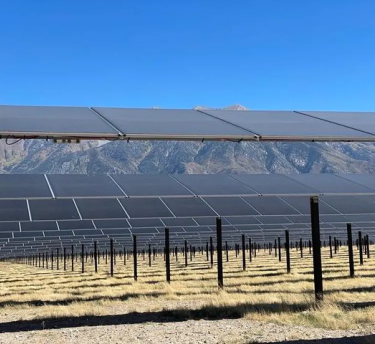 Rows of solar panels mounted on black poles in a field with dry grass, set against a backdrop of mountains under a clear blue sky.