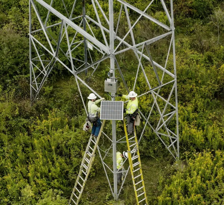 Workers in safety gear on ladders installing a solar panel on a metal tower surrounded by dense greenery.