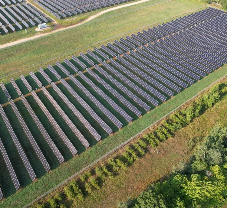 Aerial view of a large solar farm with rows of solar panels on a grassy field, surrounded by trees and a dirt path.