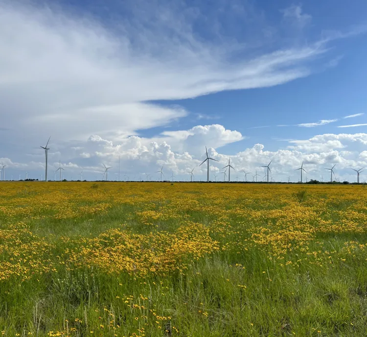 BG Horizontal turbines and flowers.png