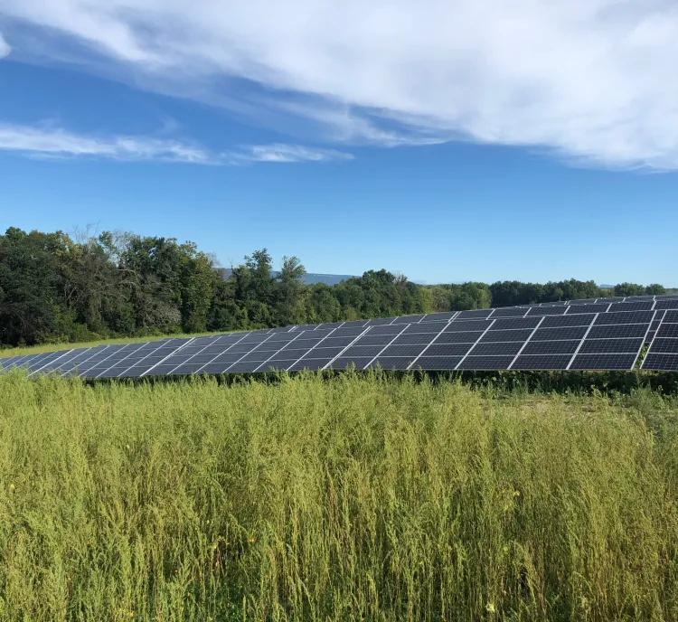 Rows of solar panels in a grassy field with trees in the background under a blue sky with scattered clouds.