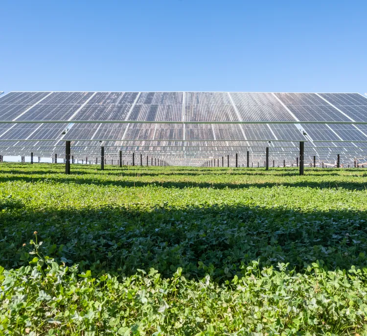 Invitation header photo.jpg