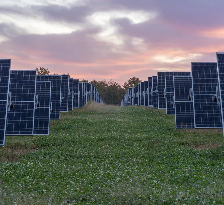 Rows of solar panels in a field under a colorful sunset sky.