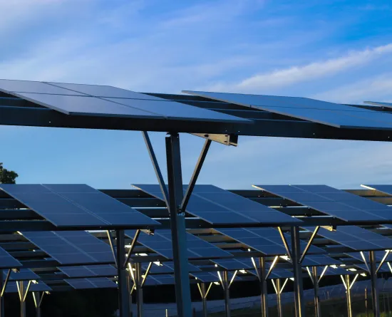Rows of solar panels mounted on metal frames under a blue sky.