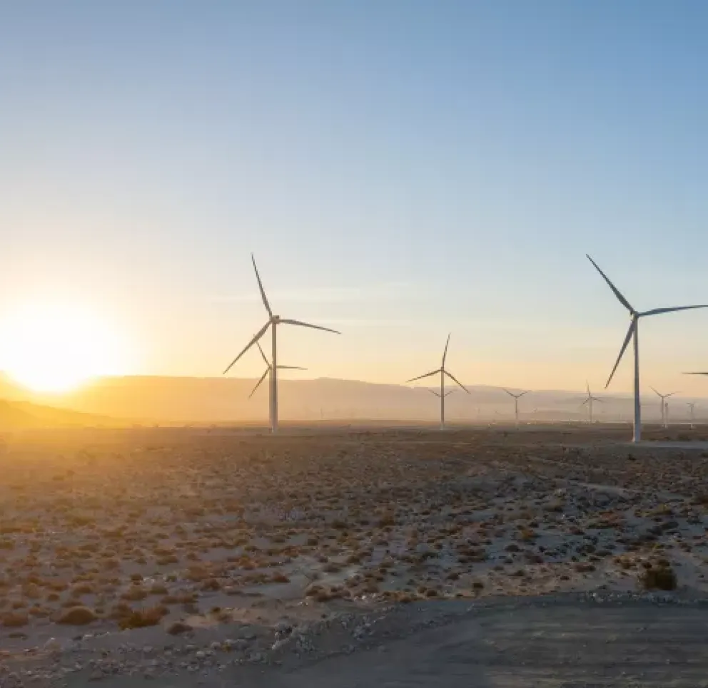 Wind turbines in a desert landscape at sunrise, with a clear sky and mountains in the background.