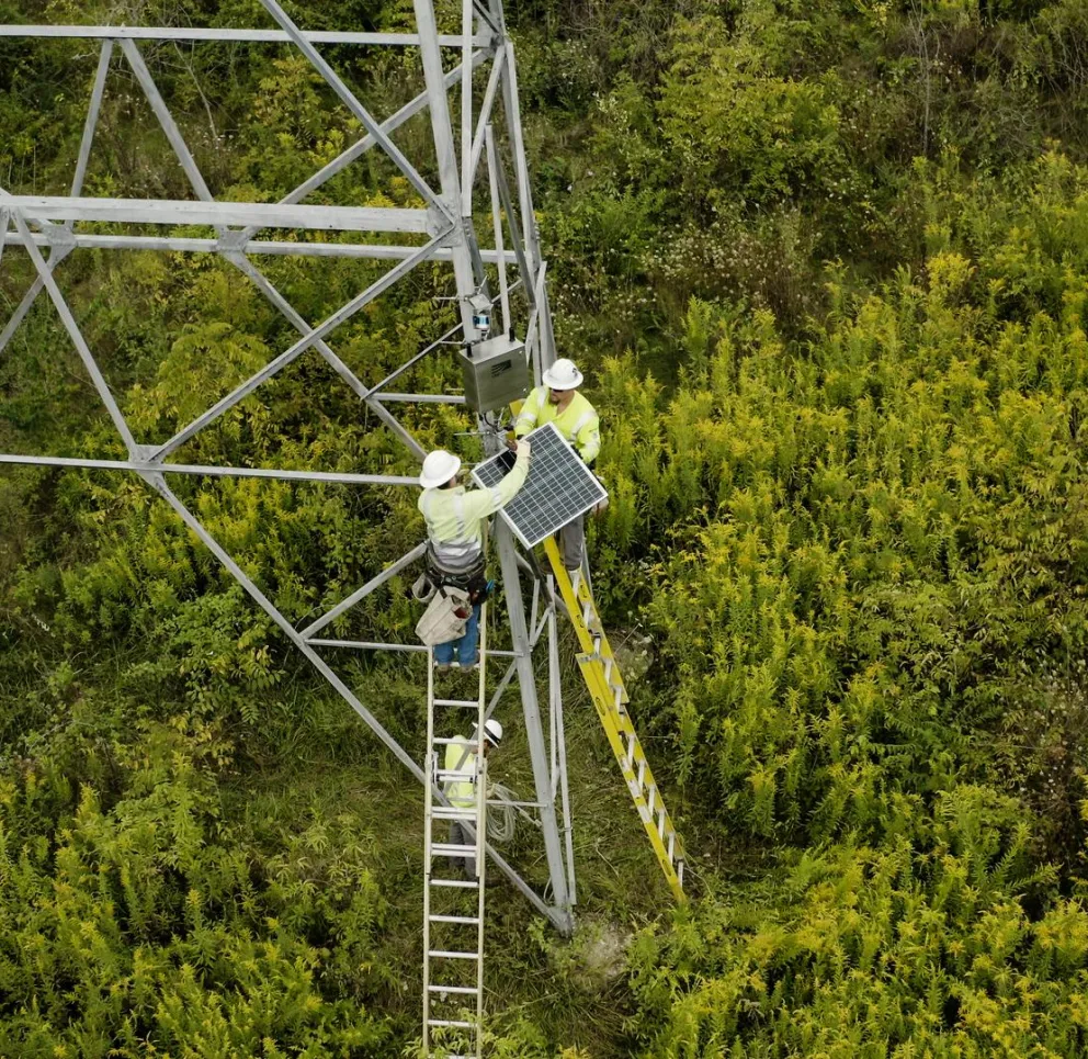 Two workers on ladders install a solar panel on a metal tower surrounded by dense green foliage.