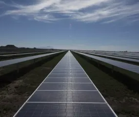 A vast field of solar panels under a clear blue sky with scattered clouds. The panels are aligned in rows and stretch into the distance, reflecting sunlight.