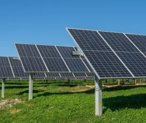 Rows of solar panels in a green field under a clear blue sky.