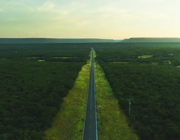 A straight road cuts through a vast green landscape in Mexico, stretching towards the horizon. Wind turbines line the distant hills under a pale sky, suggesting a serene and expansive rural setting.