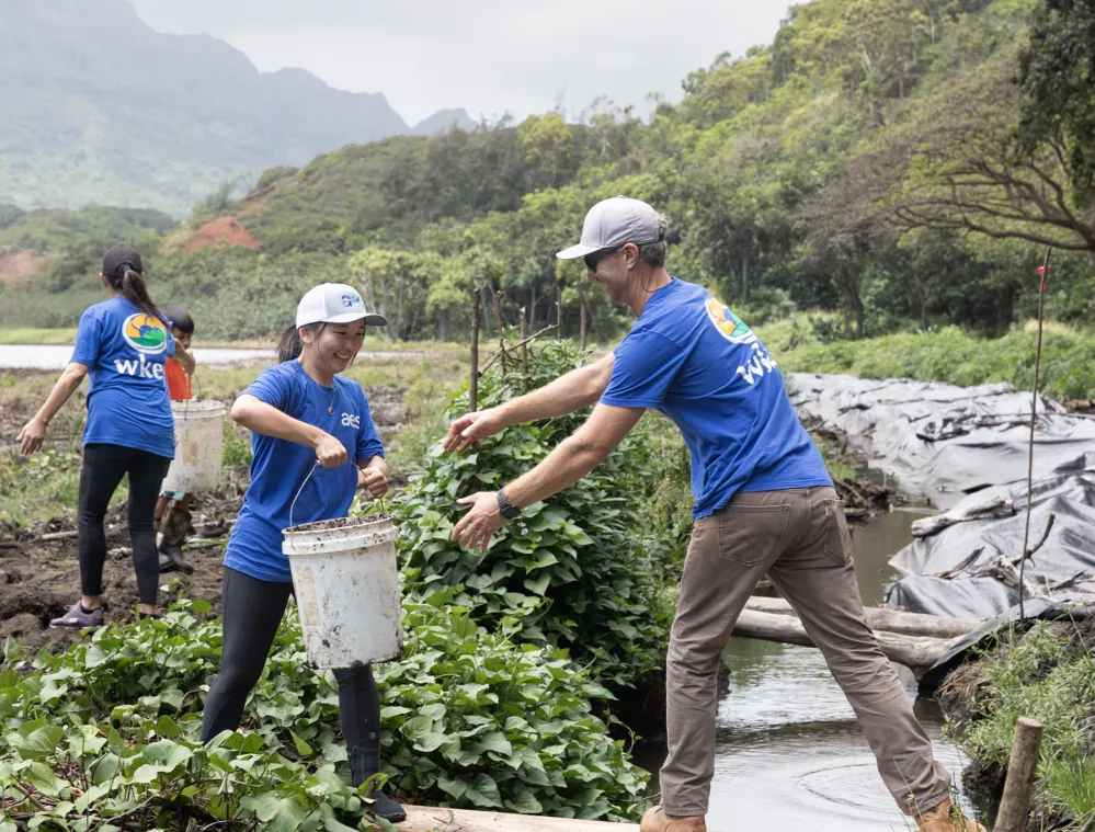 Group of people in blue shirts working together in a lush outdoor setting, carrying white buckets. They are surrounded by greenery and mountains are visible in the background.