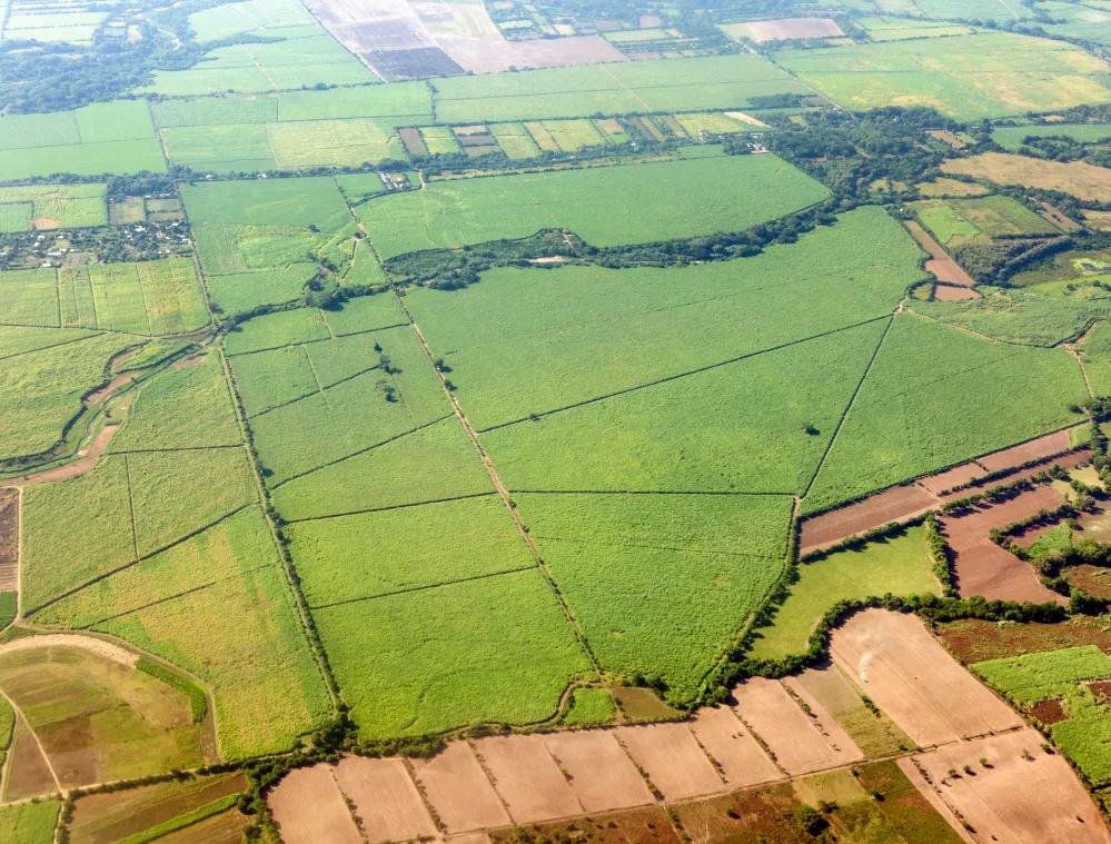 Aerial view of a vast agricultural landscape with large green fields and patches of brown soil, divided by narrow roads and tree lines.