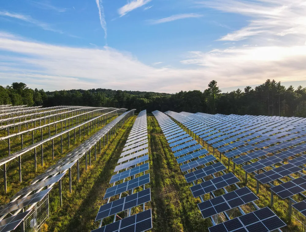 A large solar farm with rows of solar panels extending into the distance under a blue sky with scattered clouds. The panels are installed on metal frames over grassy terrain, surrounded by trees at the horizon.